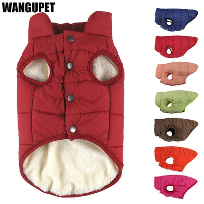 Dog cotton-padded clothes