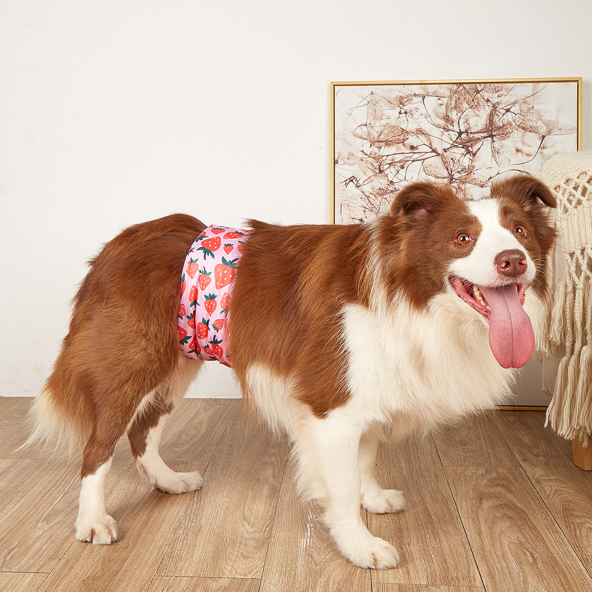 Dog Diaper Pants