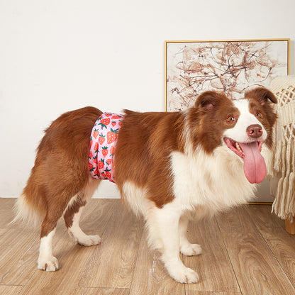 Dog Diaper Pants