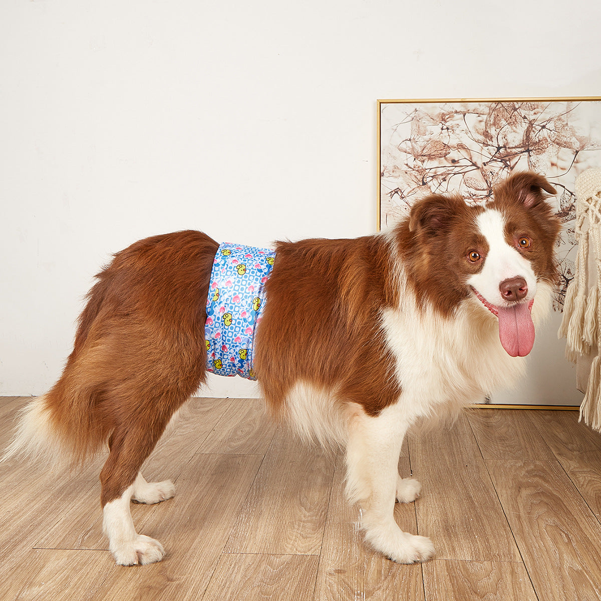 Dog Diaper Pants