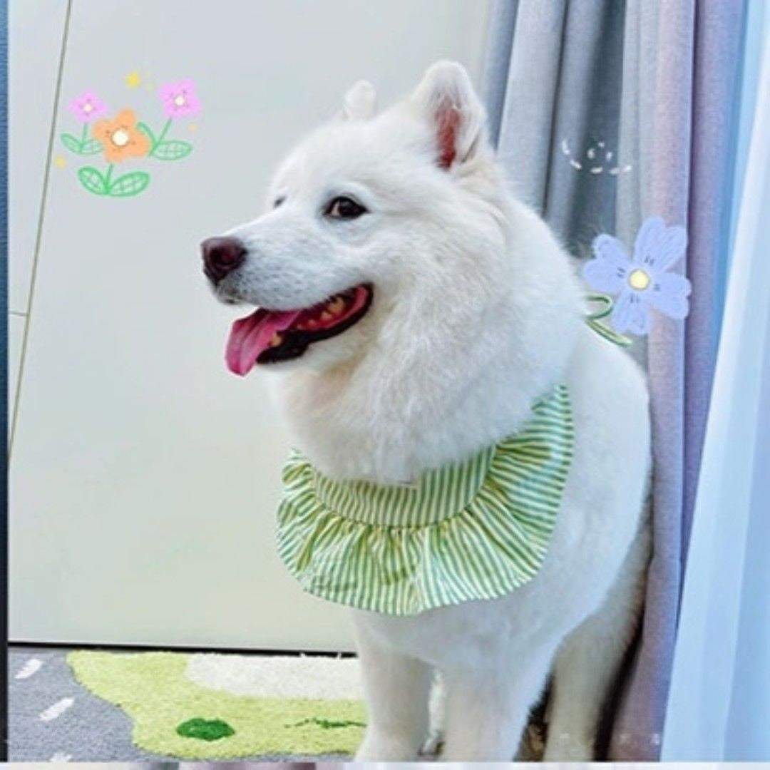 Dog Dress for Large Breeds Summer Lightweight Princess Style