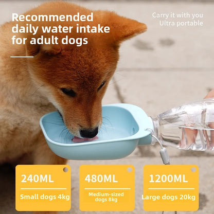 Dog drinking supplies