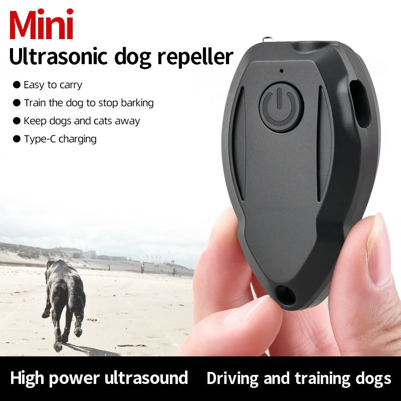 Dog Drive