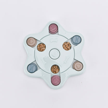 dog educational toy feeder