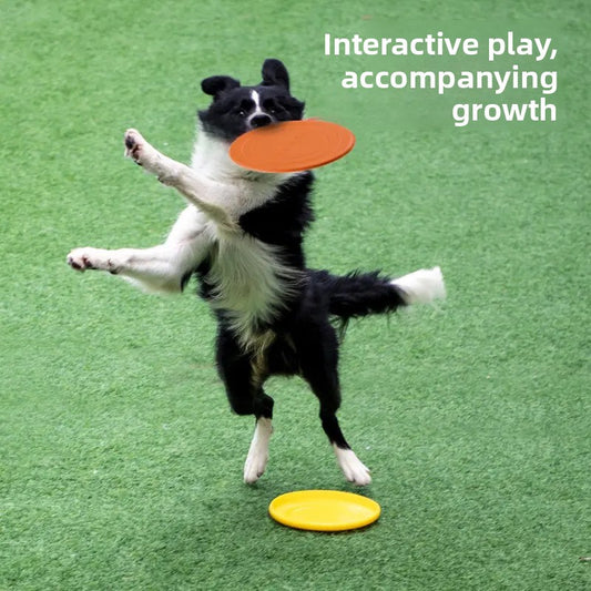 Dog Frisbee Bite Resistant Training Toy