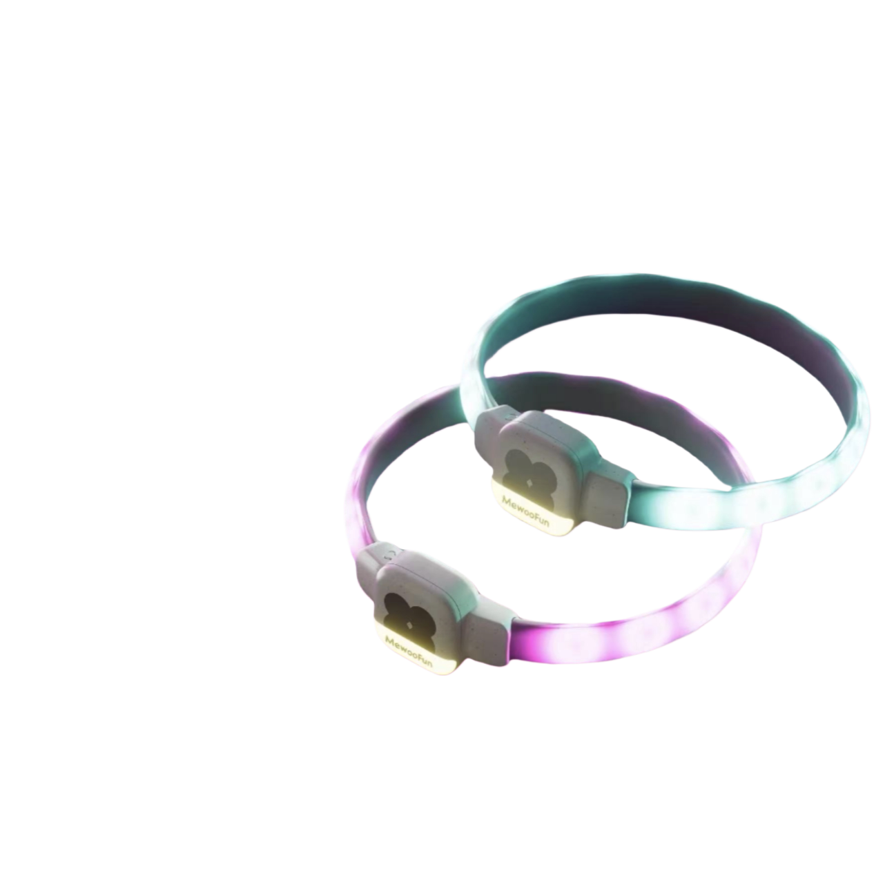 Dog glowing collar