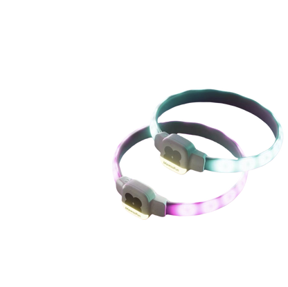 Dog glowing collar