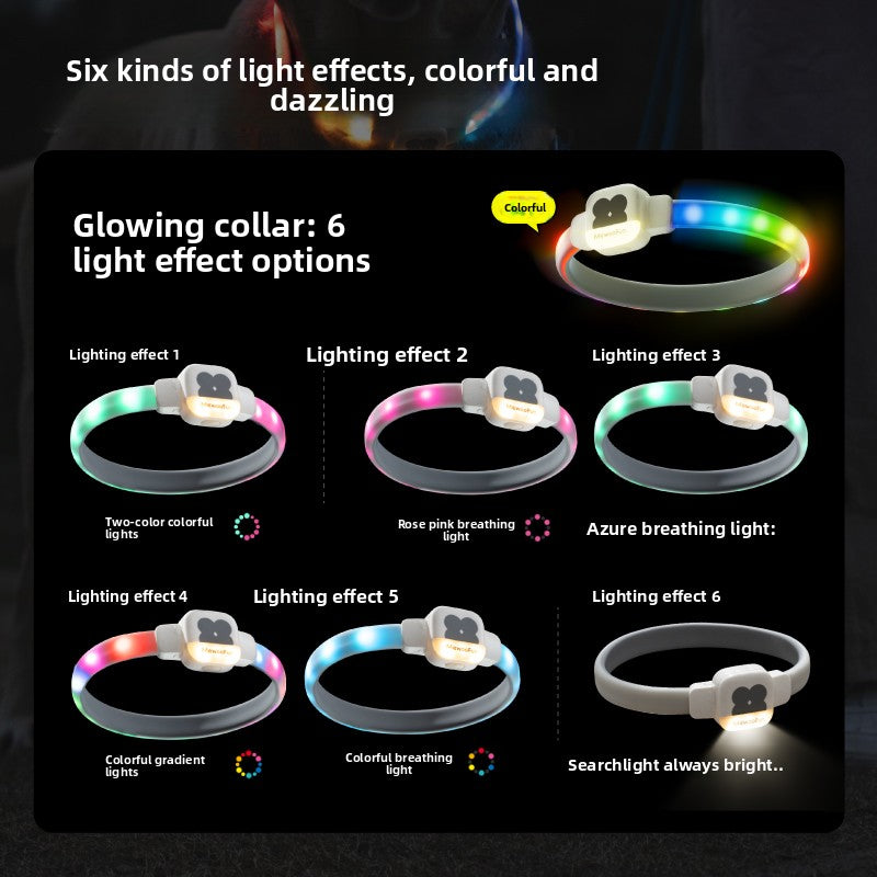 Dog glowing collar