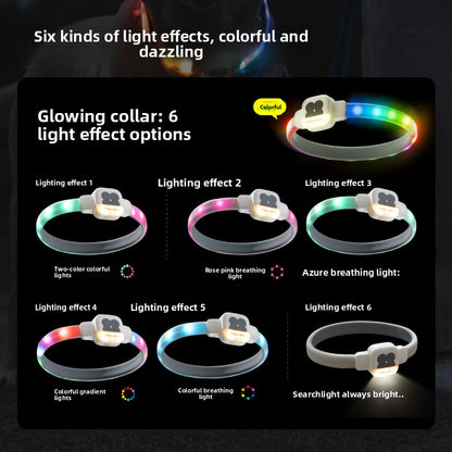 Dog glowing collar