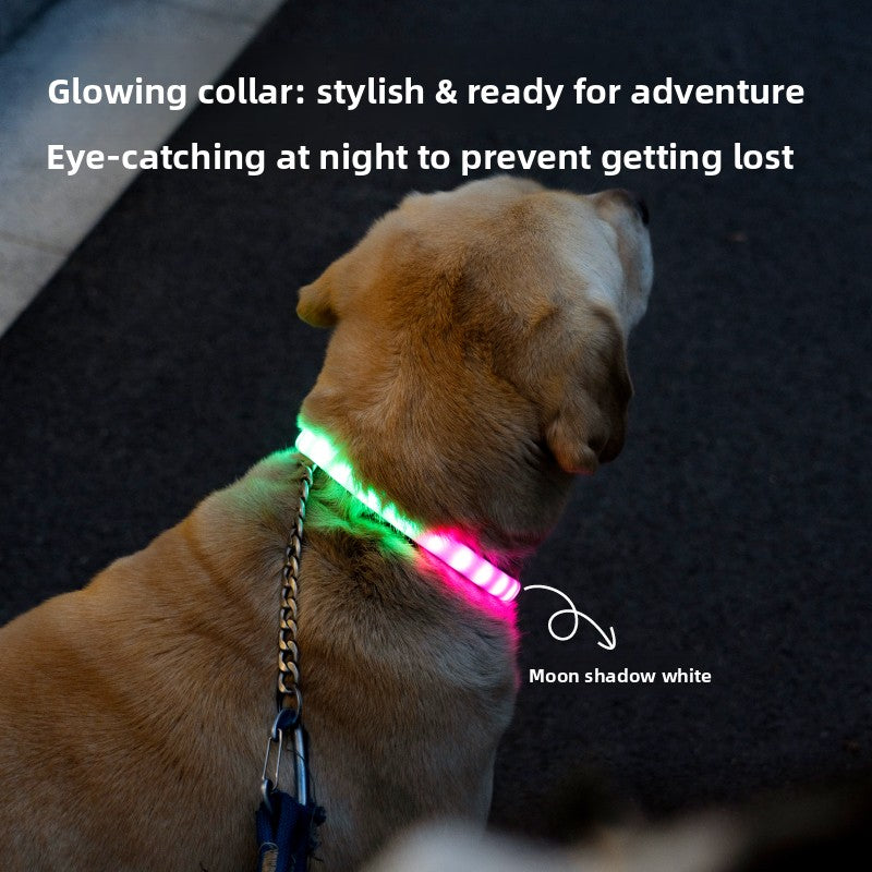 Dog glowing collar
