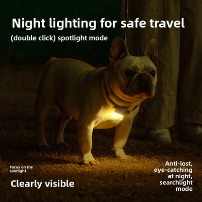 Dog glowing collar