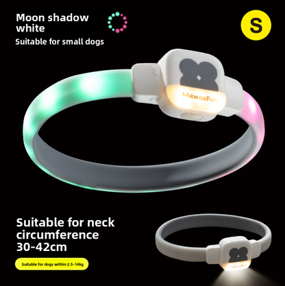 Dog glowing collar