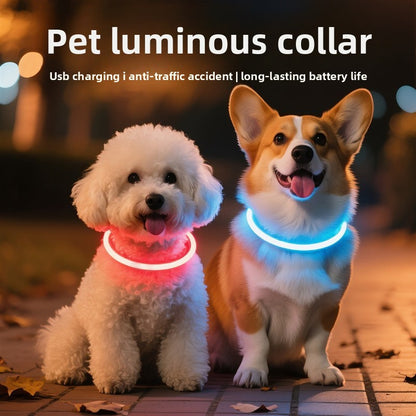 Dog glowing dog collar