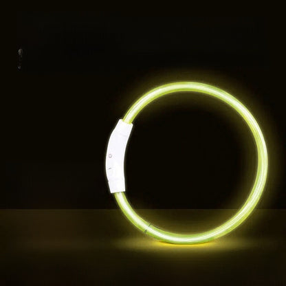 Dog glowing dog collar