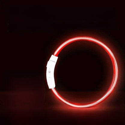 Dog glowing dog collar