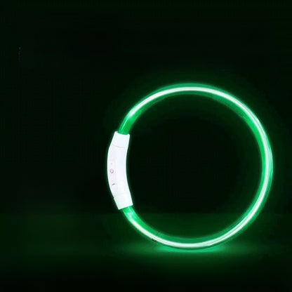 Dog glowing dog collar