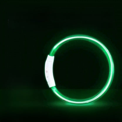 Dog glowing dog collar