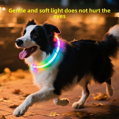 Dog glowing dog collar