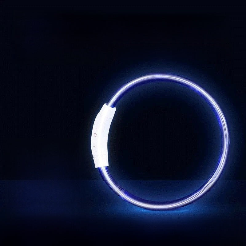 Dog glowing dog collar