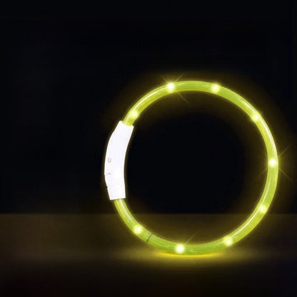 Dog glowing dog collar
