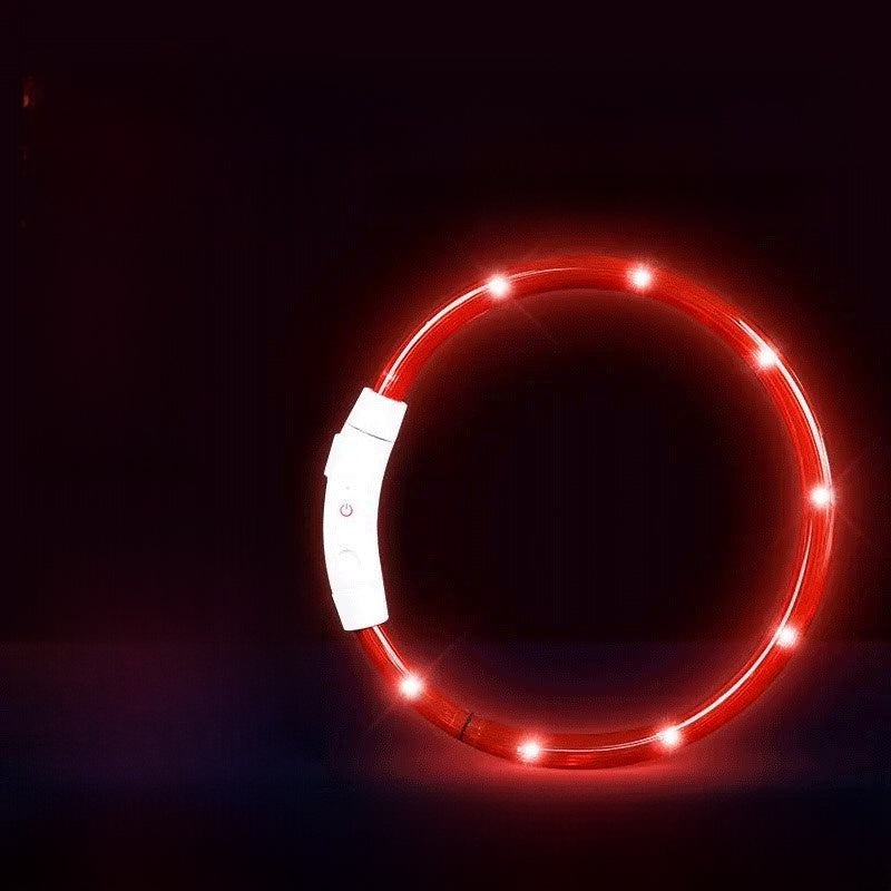 Dog glowing dog collar