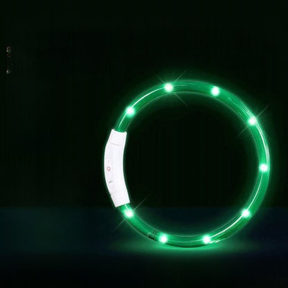 Dog glowing dog collar