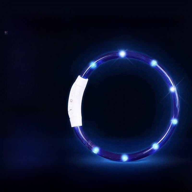 Dog glowing dog collar