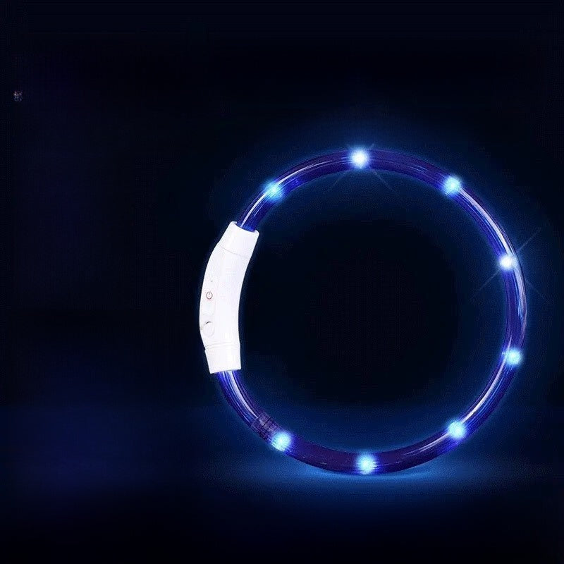 Dog glowing dog collar
