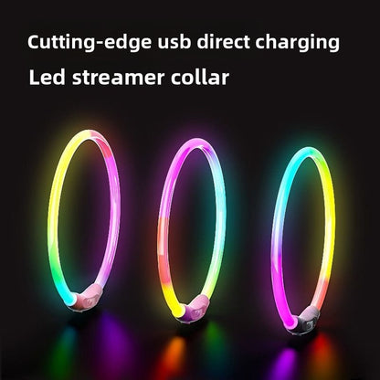 Dog glowing dog collar