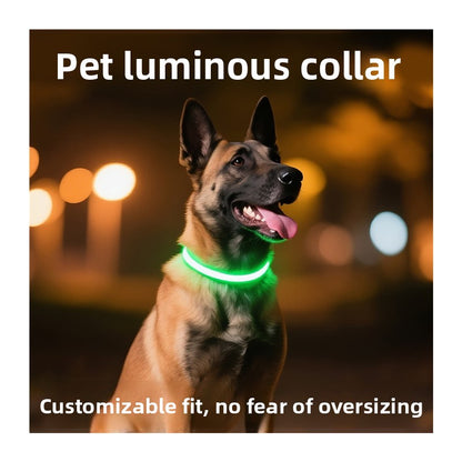 Dog glowing dog collar