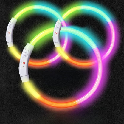 Dog glowing dog collar