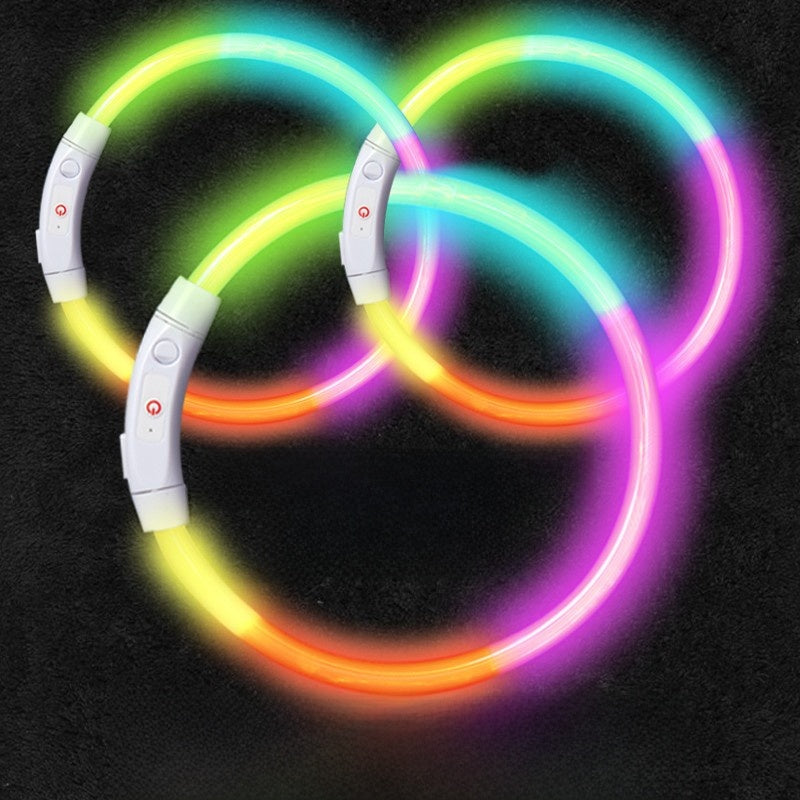 Dog glowing dog collar