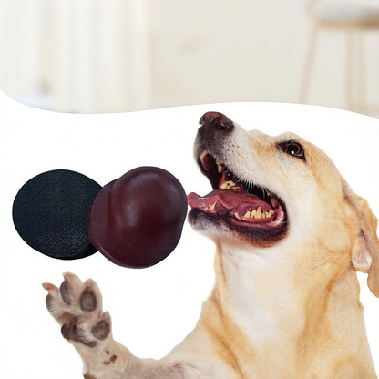 Dog Grinding Plate