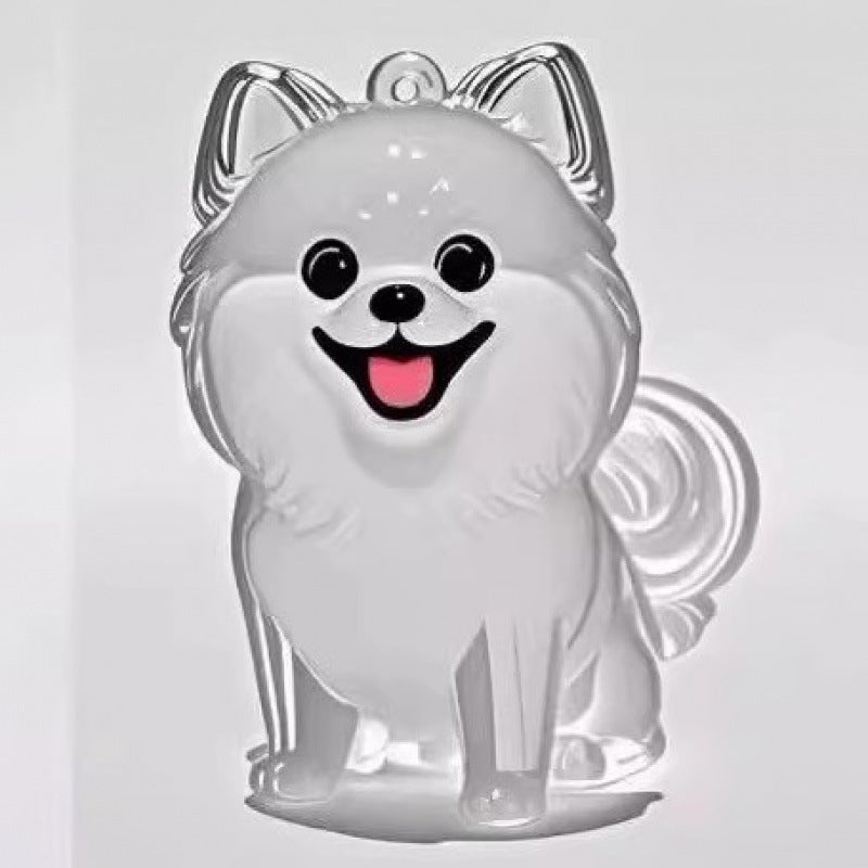 Dog Hair Storage Box Keychain