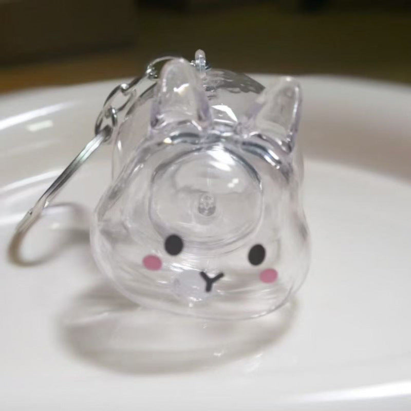 Dog Hair Storage Box Keychain