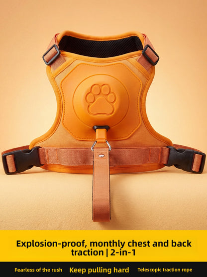 Dog Harness Leash