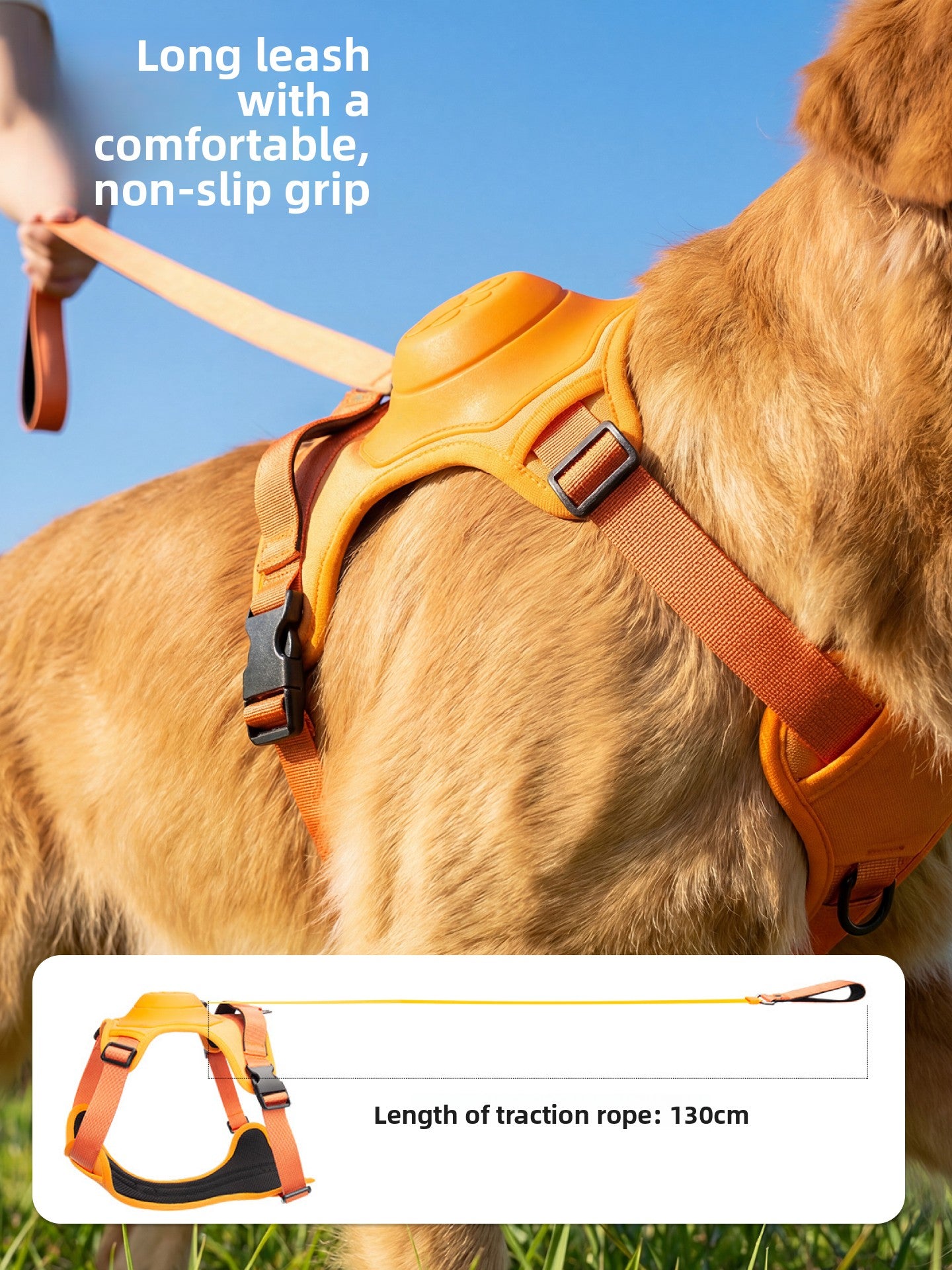 Dog Harness Leash