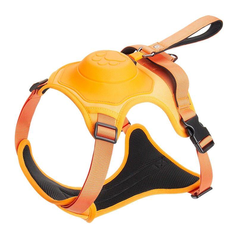 Dog Harness Leash