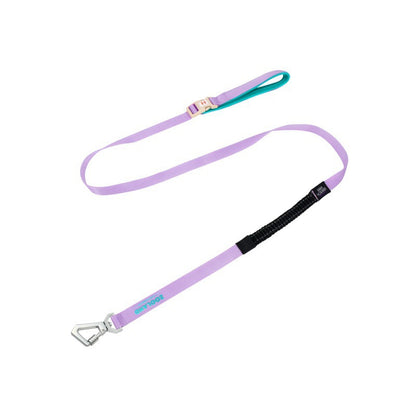 dog harness leash