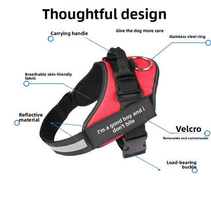 Dog Harness Leash