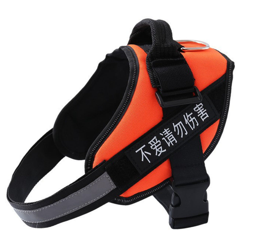 Dog Harness Leash