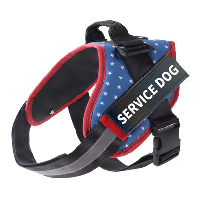 Dog Harness Leash