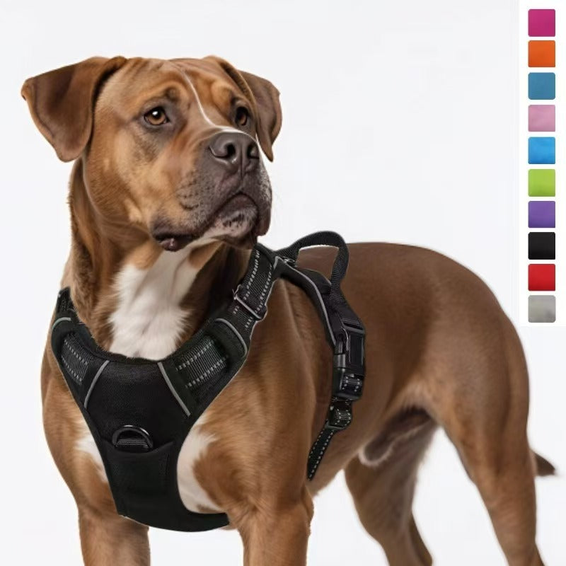 Dog Harness Leash