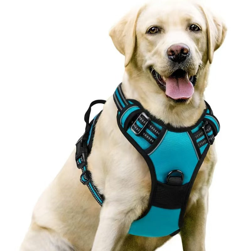 Dog Harness Leash