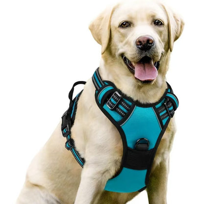 Dog Harness Leash