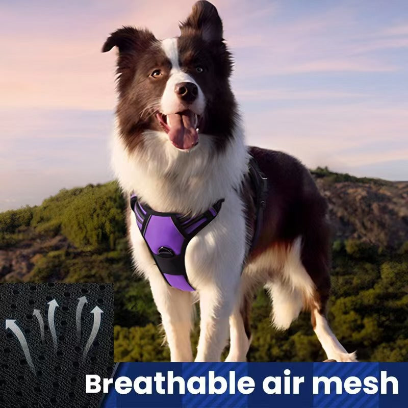 Dog Harness Leash