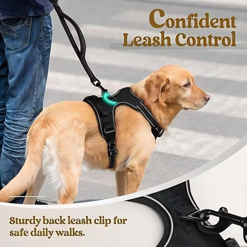 Dog Harness Leash