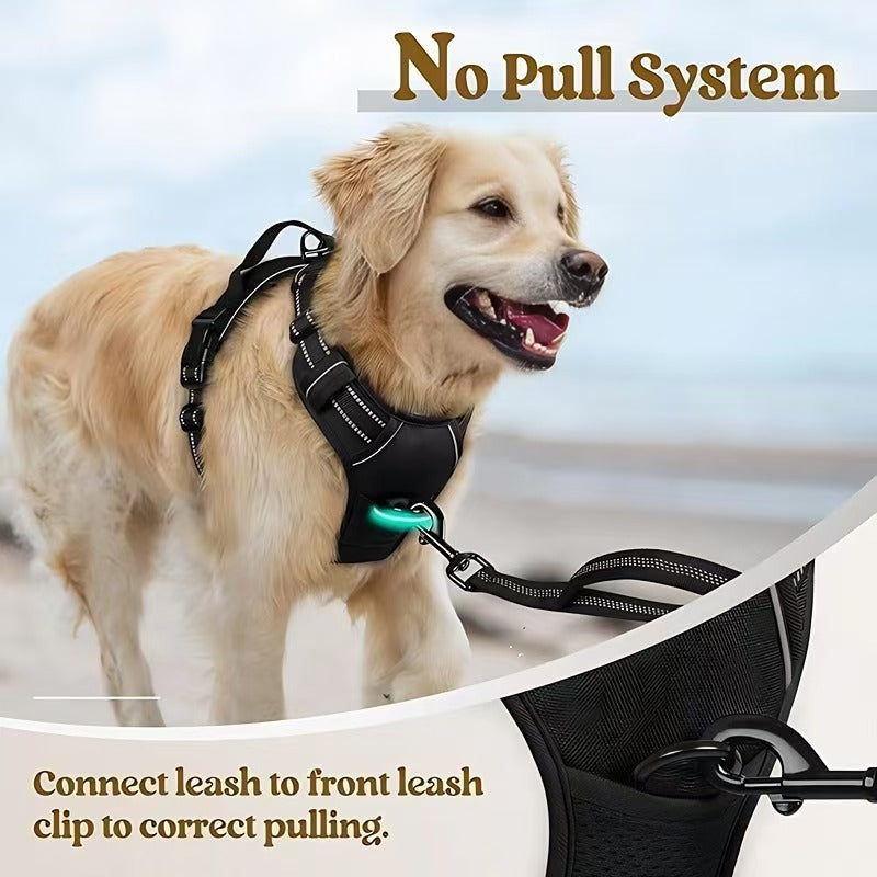 Dog Harness Leash