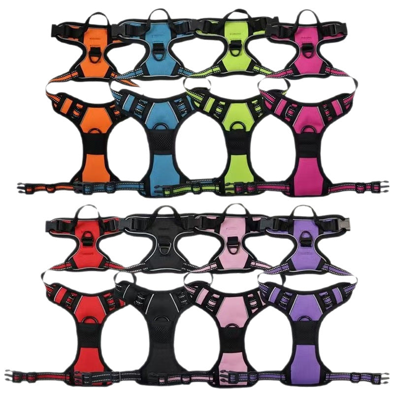 Dog Harness Leash
