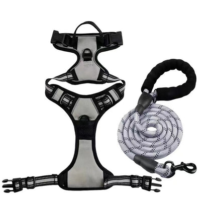 Dog Harness Leash